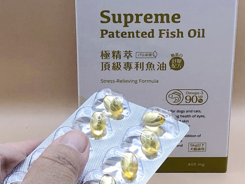 試用